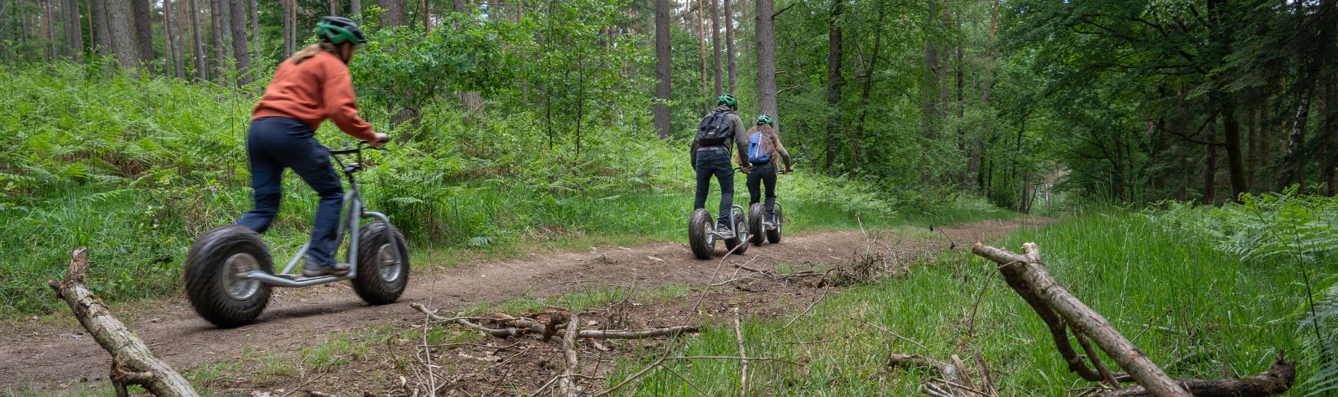 Down Hill Step in de Ardense bossen