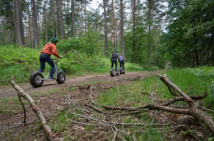 Down Hill Step in de Ardense bossen