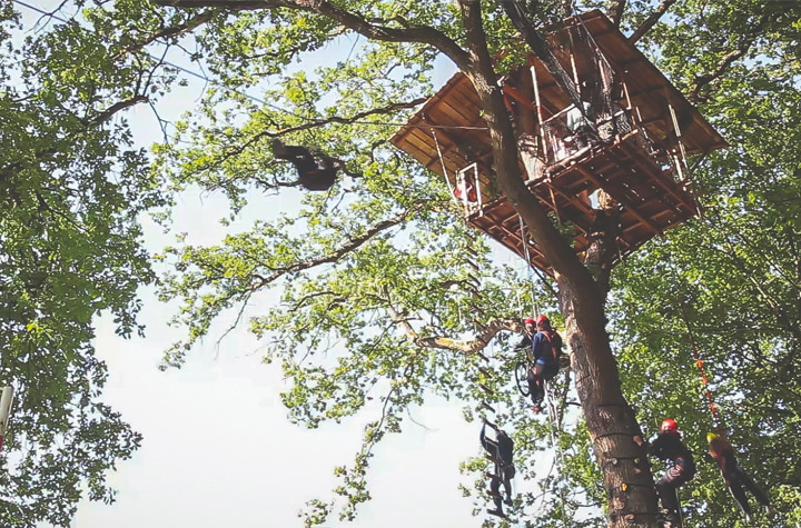 Adrenaline treehouse met onderdelen freefal abseilen tokkelen en meer in de belgische ardennen