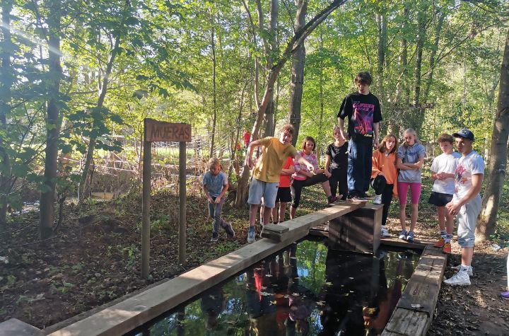 Scholen in de belgische ardennen